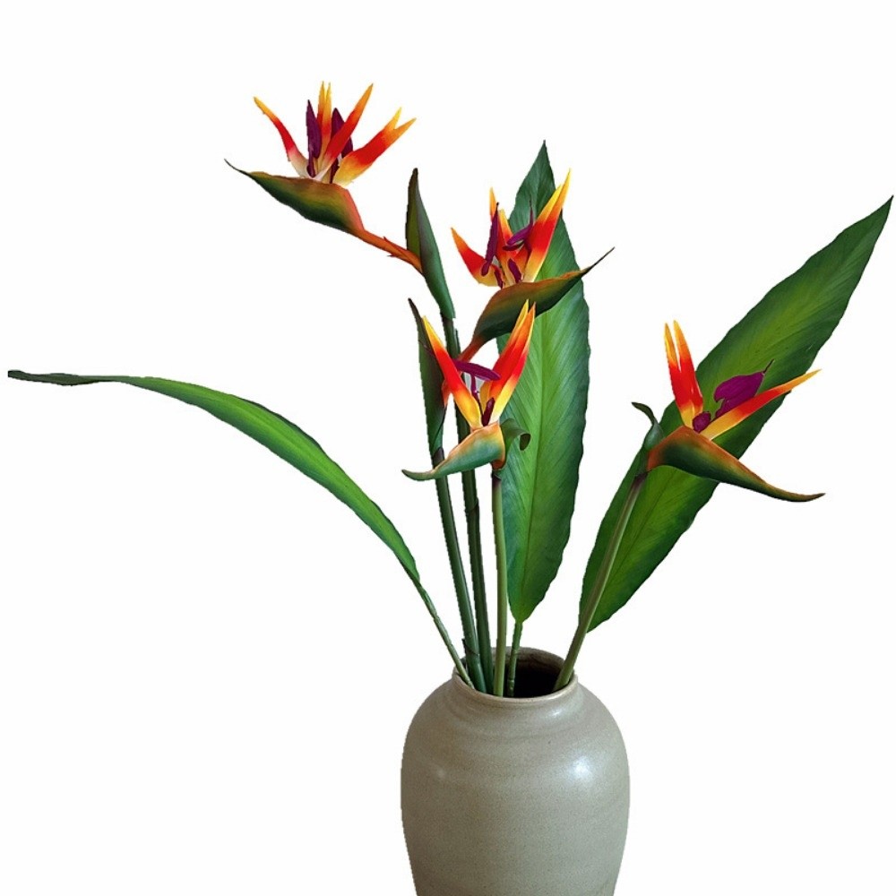 긴 줄기 인조 버드 오브 파라다이스 실제같은 촉감의 장 - Bird Paradise Strelitzia 리뷰 및 가격
