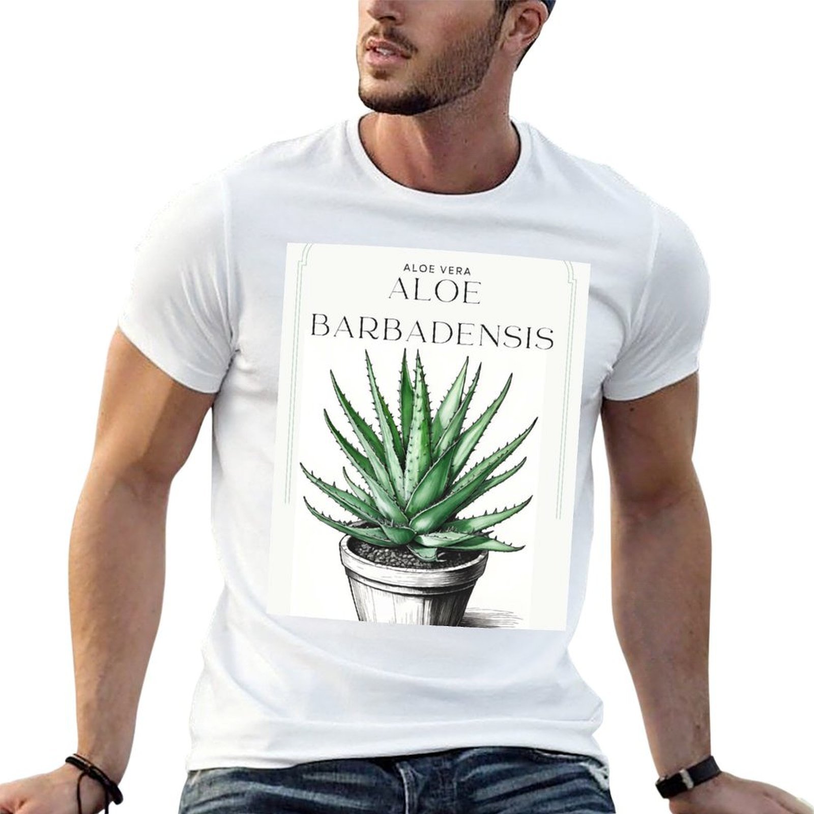 칼리스C 아트의 냄비에 담긴 식물성 알로에 베라의 소박 - Aloe Vera Pot 리뷰 및 가격