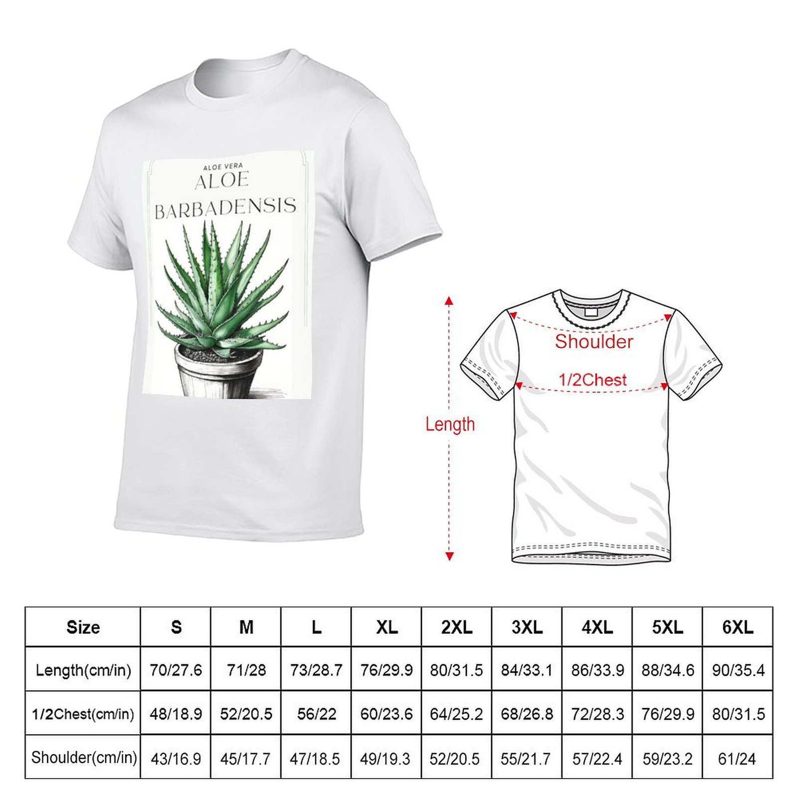 칼리스C 아트의 냄비에 담긴 식물성 알로에 베라의 소박 - Aloe Vera Pot 리뷰 및 가격