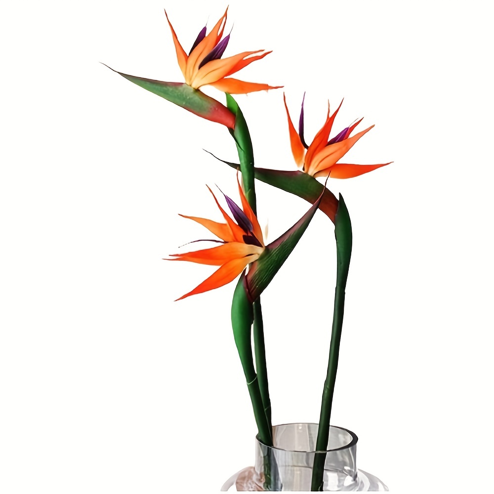 3Pcs 인공 천국 새 꽃, 낙원의 가짜 새 Strel - Bird Paradise Strelitzia 리뷰 및 가격