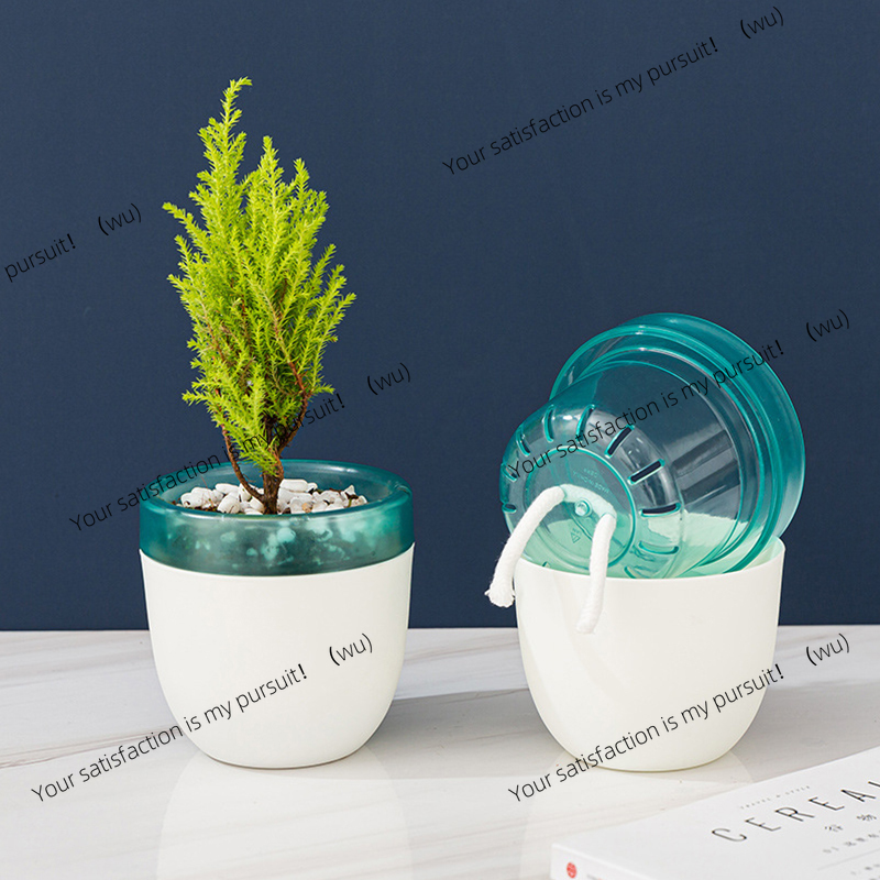 자동 물 흡수 게으른 화분 무급수 수지 플라스틱 다육식 - Aloe Vera Pot 리뷰 및 가격