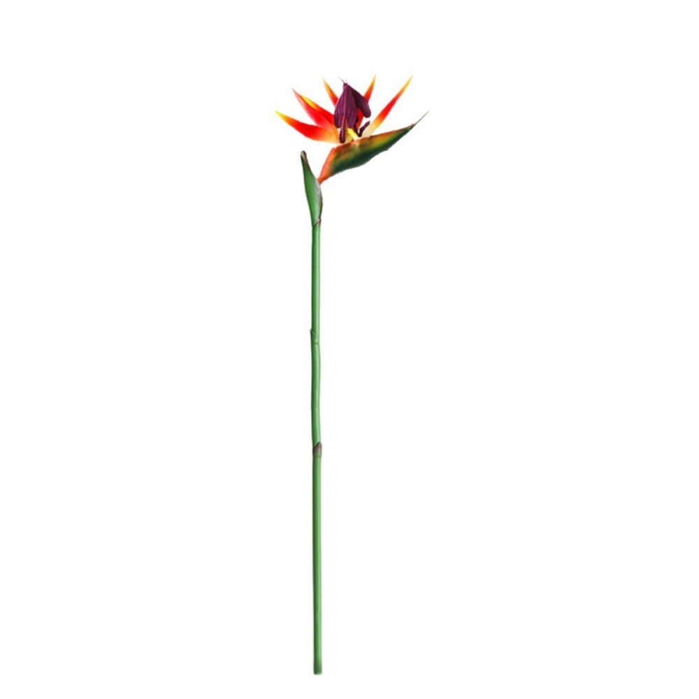 긴 줄기 인조 버드 오브 파라다이스 장식용 DIY 인조 - Bird Paradise Strelitzia 리뷰 및 가격