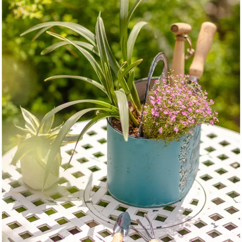 블루 행잉 벽 화분, 오래된 다리미 아트 꽃 바구니,  - Spider Plant Hanging 리뷰 및 가격